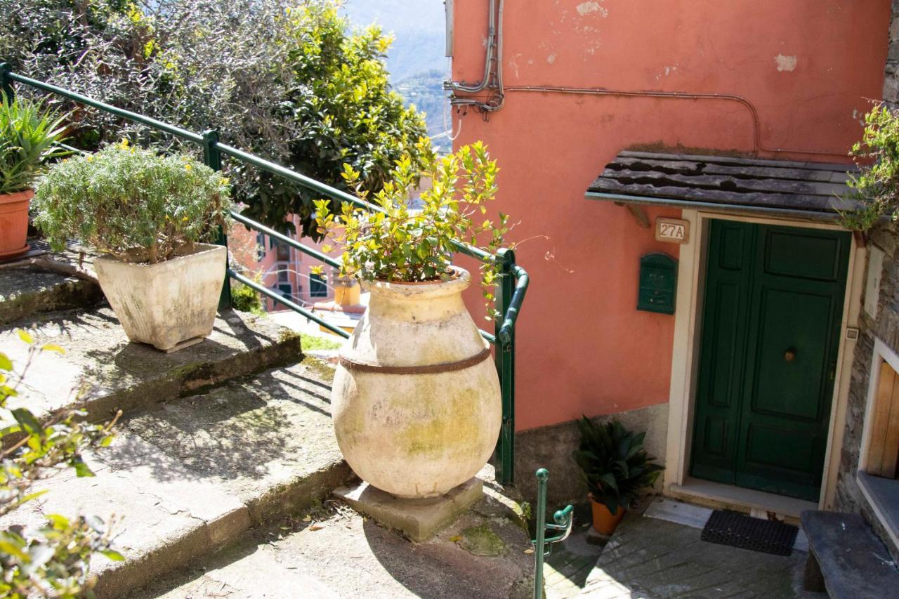 佩特拉之家度假屋 Vignana 外观 照片